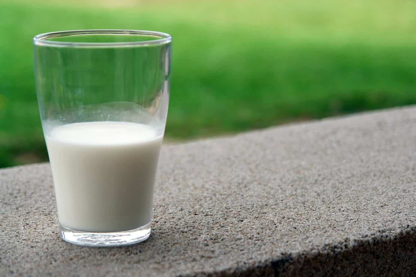 Glass of Milk. Is Dairy Bad for Seborrheic Dermatitis?