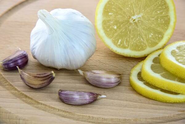 Whole garlic and lemon slices used to restore gut health due to antibiotics. Antibiotics