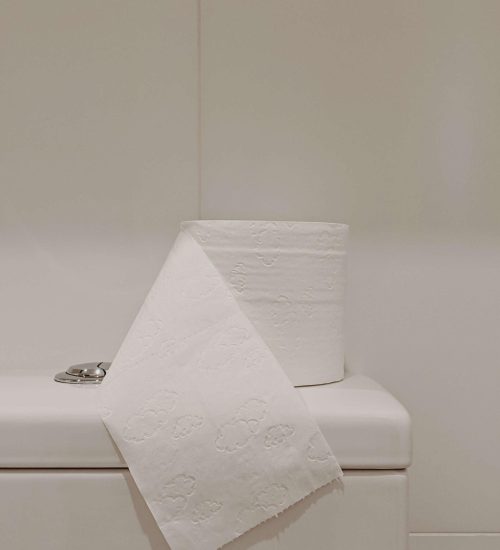 Picture of the top of a toilet with a roll of toilet paper on top. Constipation